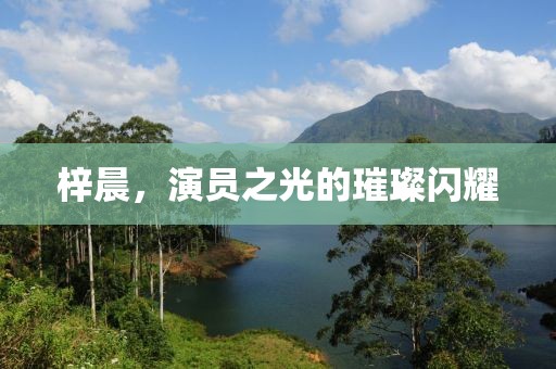 梓晨，演员之光的璀璨闪耀