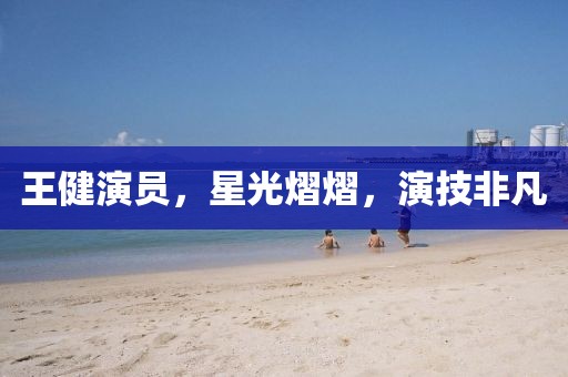 王健演员，星光熠熠，演技非凡