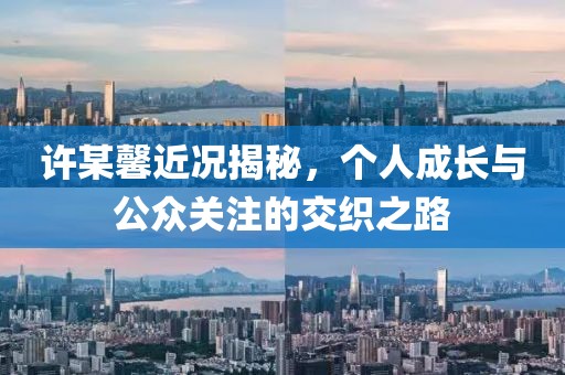 许某馨近况揭秘，个人成长与公众关注的交织之路