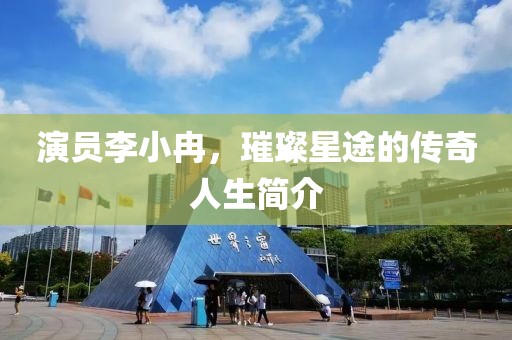 演员李小冉，璀璨星途的传奇人生简介