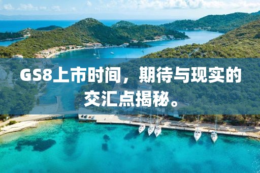 GS8上市时间，期待与现实的交汇点揭秘。