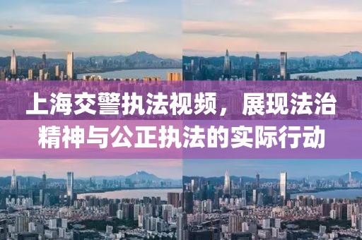 上海交警执法视频，展现法治精神与公正执法的实际行动