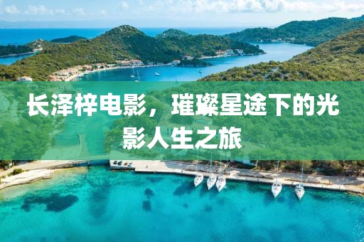 长泽梓电影，璀璨星途下的光影人生之旅