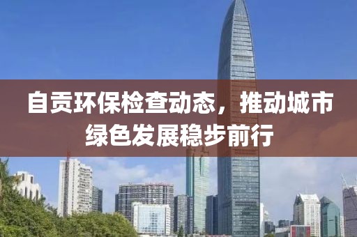 自贡环保检查动态，推动城市绿色发展稳步前行