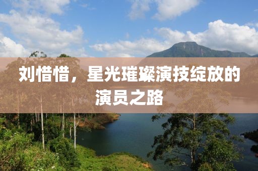 刘惜惜，星光璀璨演技绽放的演员之路