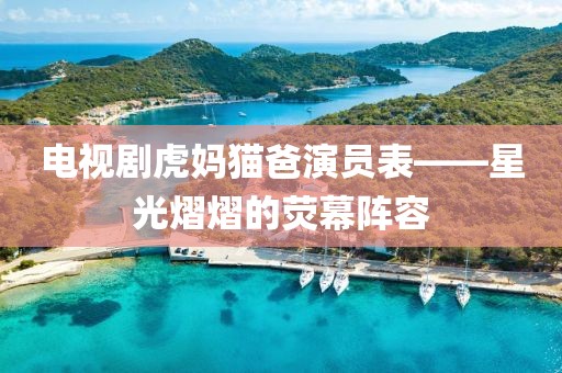 电视剧虎妈猫爸演员表——星光熠熠的荧幕阵容