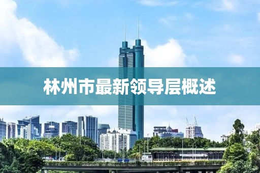 林州市最新领导层概述