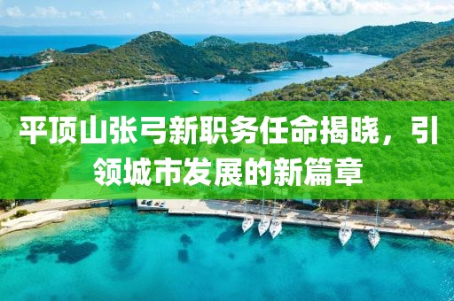 平顶山张弓新职务任命揭晓，引领城市发展的新篇章