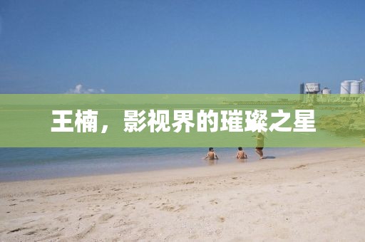王楠，影视界的璀璨之星