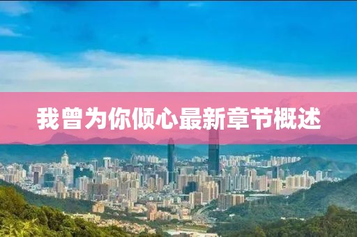 我曾为你倾心最新章节概述