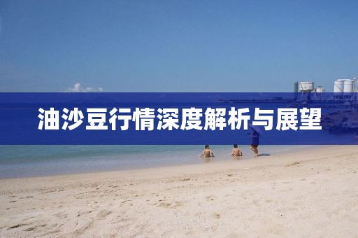 油沙豆行情深度解析与展望