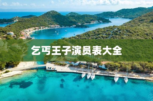乞丐王子演员表大全
