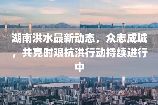 湖南洪水最新动态，众志成城，共克时艰抗洪行动持续进行中