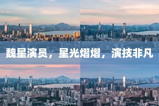 魏星演员，星光熠熠，演技非凡