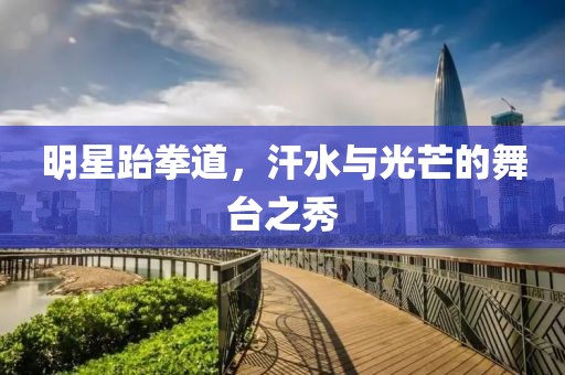 明星跆拳道，汗水与光芒的舞台之秀