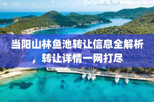 当阳山林鱼池转让信息全解析，转让详情一网打尽