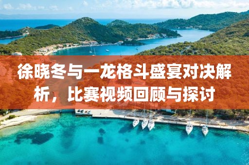 徐晓冬与一龙格斗盛宴对决解析，比赛视频回顾与探讨