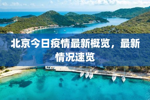 北京今日疫情最新概览，最新情况速览