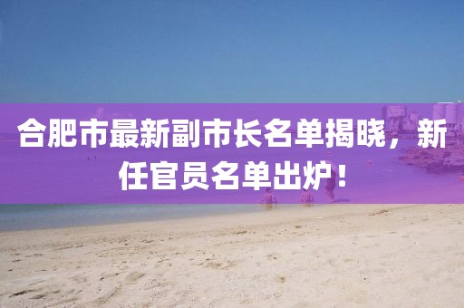 合肥市最新副市长名单揭晓，新任官员名单出炉！