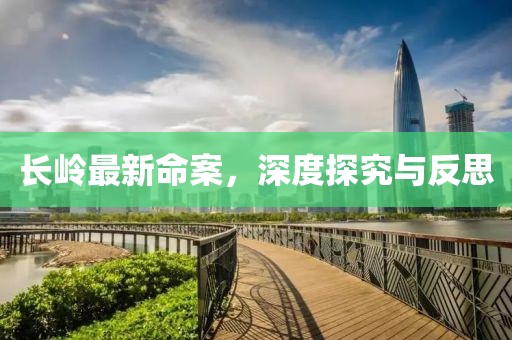 长岭最新命案，深度探究与反思