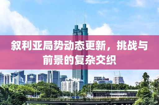 叙利亚局势动态更新，挑战与前景的复杂交织