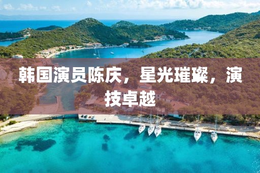 韩国演员陈庆，星光璀璨，演技卓越
