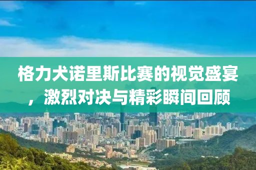 格力犬诺里斯比赛的视觉盛宴，激烈对决与精彩瞬间回顾