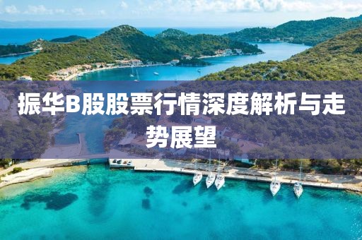 振华B股股票行情深度解析与走势展望