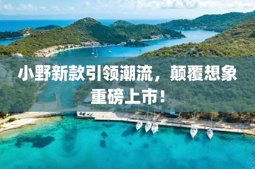 小野新款引领潮流，颠覆想象重磅上市！