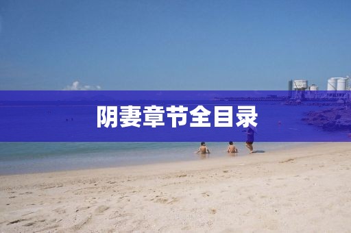阴妻章节全目录