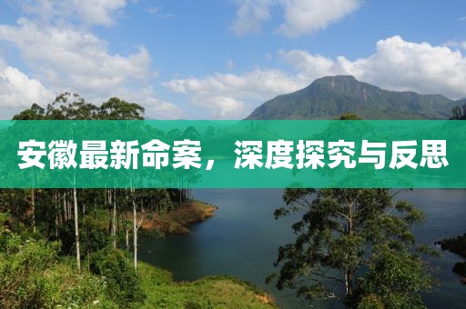 安徽最新命案，深度探究与反思