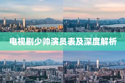电视剧少帅演员表及深度解析