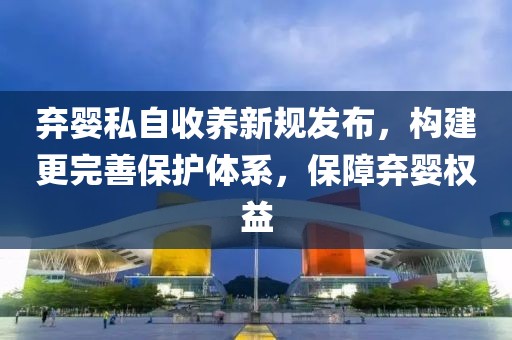 弃婴私自收养新规发布，构建更完善保护体系，保障弃婴权益