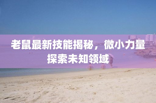 老鼠最新技能揭秘，微小力量探索未知领域