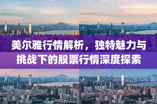 美尔雅行情解析，独特魅力与挑战下的股票行情深度探索