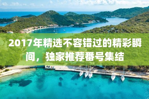 2017年精选不容错过的精彩瞬间，独家推荐番号集结
