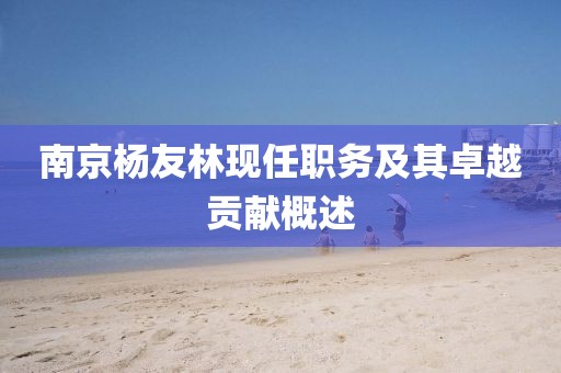 南京杨友林现任职务及其卓越贡献概述