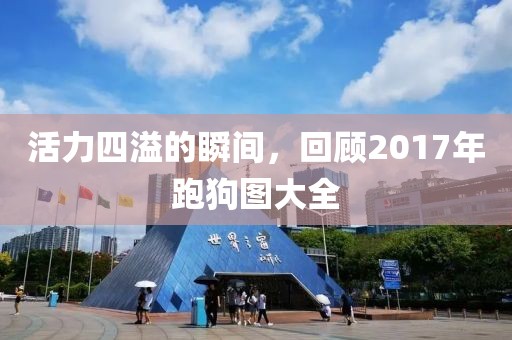 活力四溢的瞬间，回顾2017年跑狗图大全