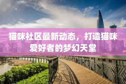 猫咪社区最新动态，打造猫咪爱好者的梦幻天堂