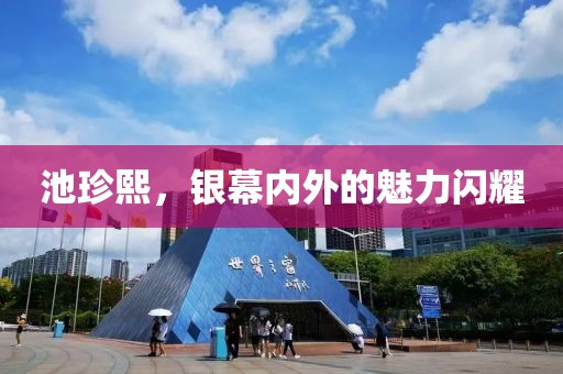 池珍熙，银幕内外的魅力闪耀