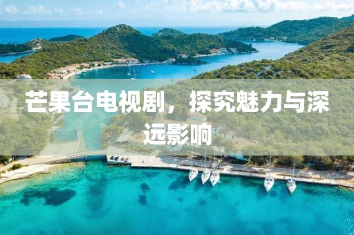 芒果台电视剧，探究魅力与深远影响