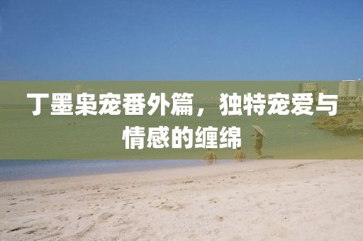 丁墨枭宠番外篇，独特宠爱与情感的缠绵