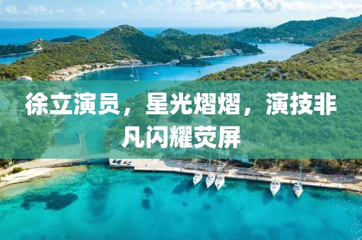 徐立演员，星光熠熠，演技非凡闪耀荧屏
