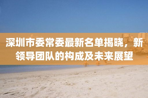 深圳市委常委最新名单揭晓，新领导团队的构成及未来展望