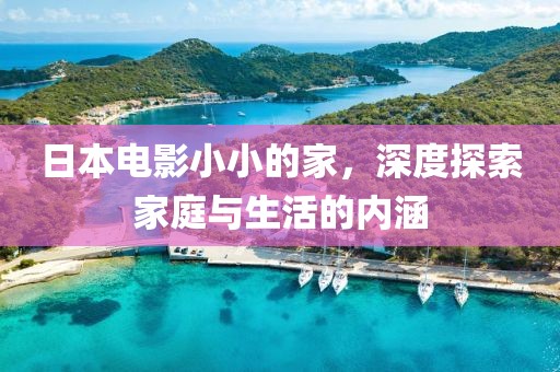 日本电影小小的家，深度探索家庭与生活的内涵