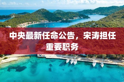 中央最新任命公告，宋涛担任重要职务