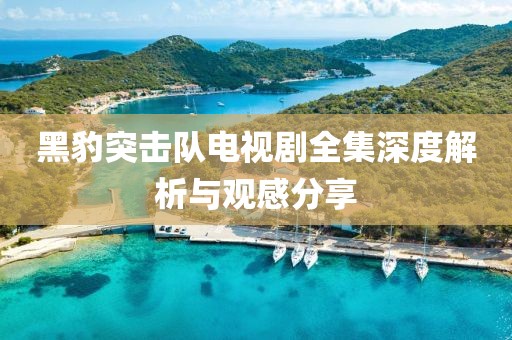 黑豹突击队电视剧全集深度解析与观感分享