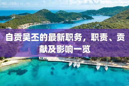 自贡吴丕的最新职务，职责、贡献及影响一览