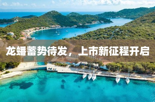 龙蟠蓄势待发，上市新征程开启