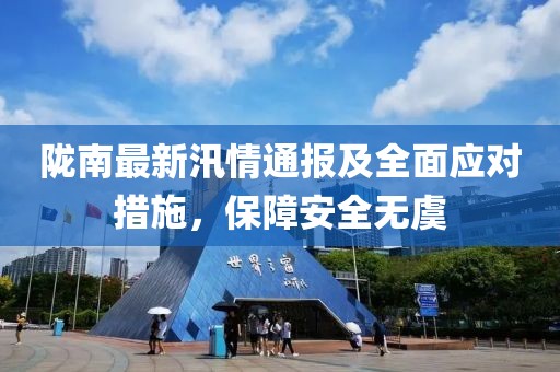 陇南最新汛情通报及全面应对措施，保障安全无虞